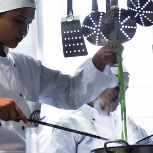Cocinero Profesional